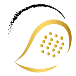 Das erste Expert  Turnier 2026 