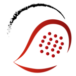 1.Sportunion Professional 2026